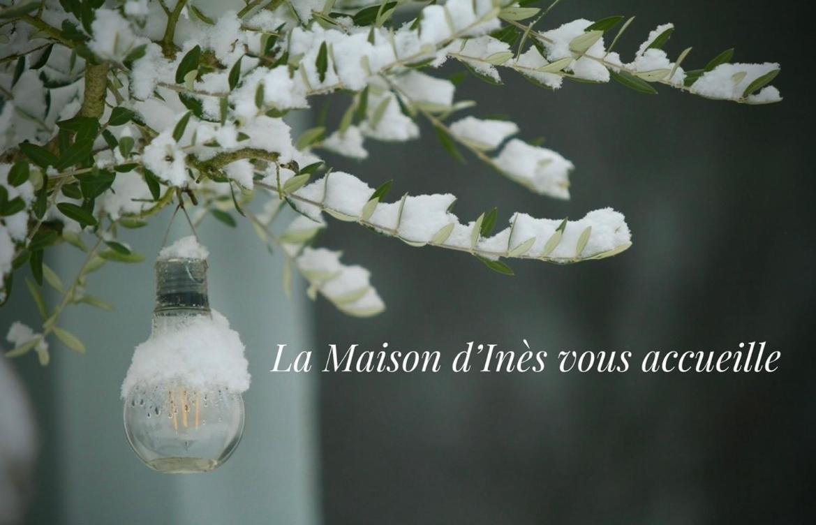 La Maison D Ines And Ugolin & Spa Baccarat Exterior foto